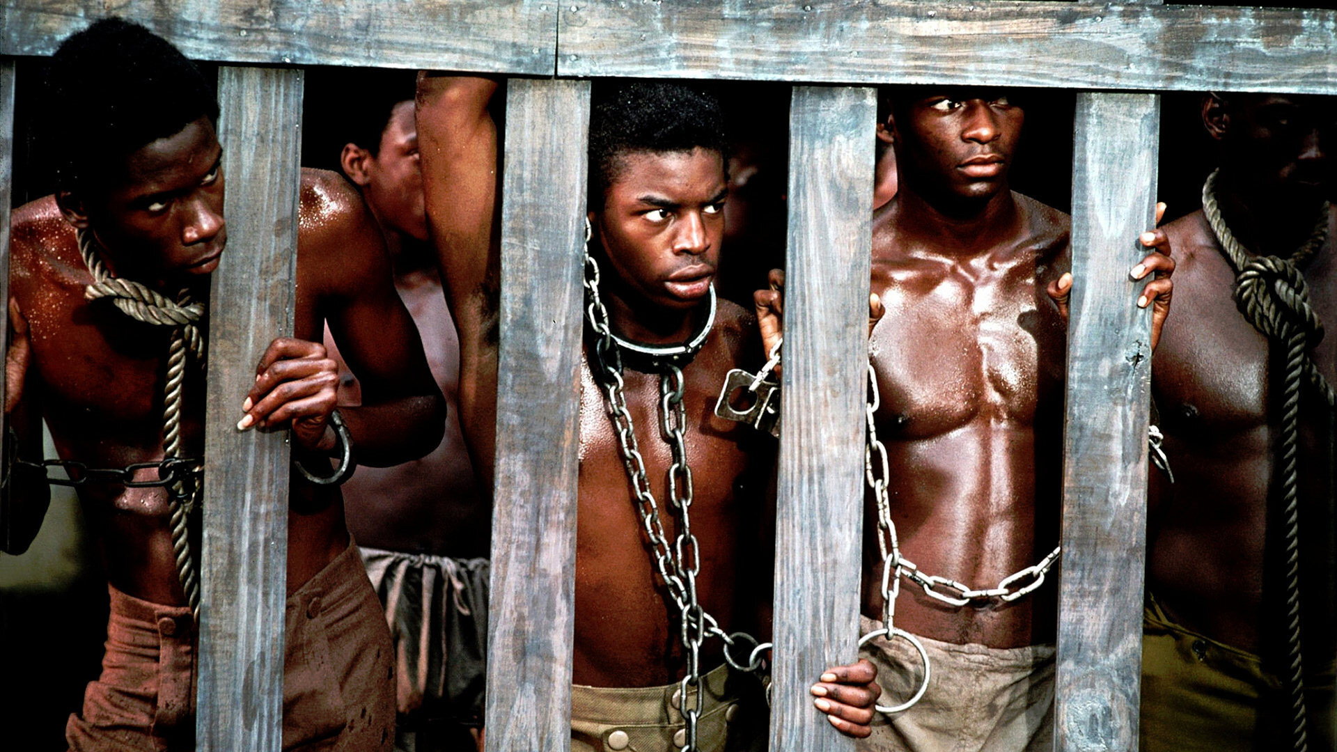 Roots, still 1