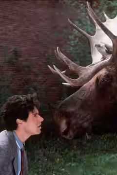 Northern Exposure poster 8