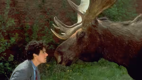 A scene from Northern Exposure