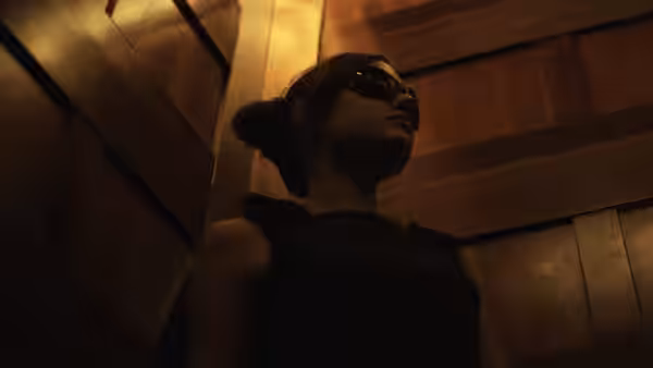 Chelsea (Sasha Grey) wearing sunglasses inside a wooden elevator