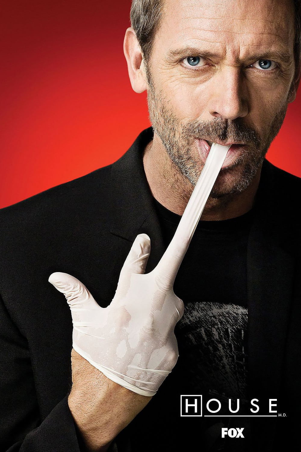 House poster 2