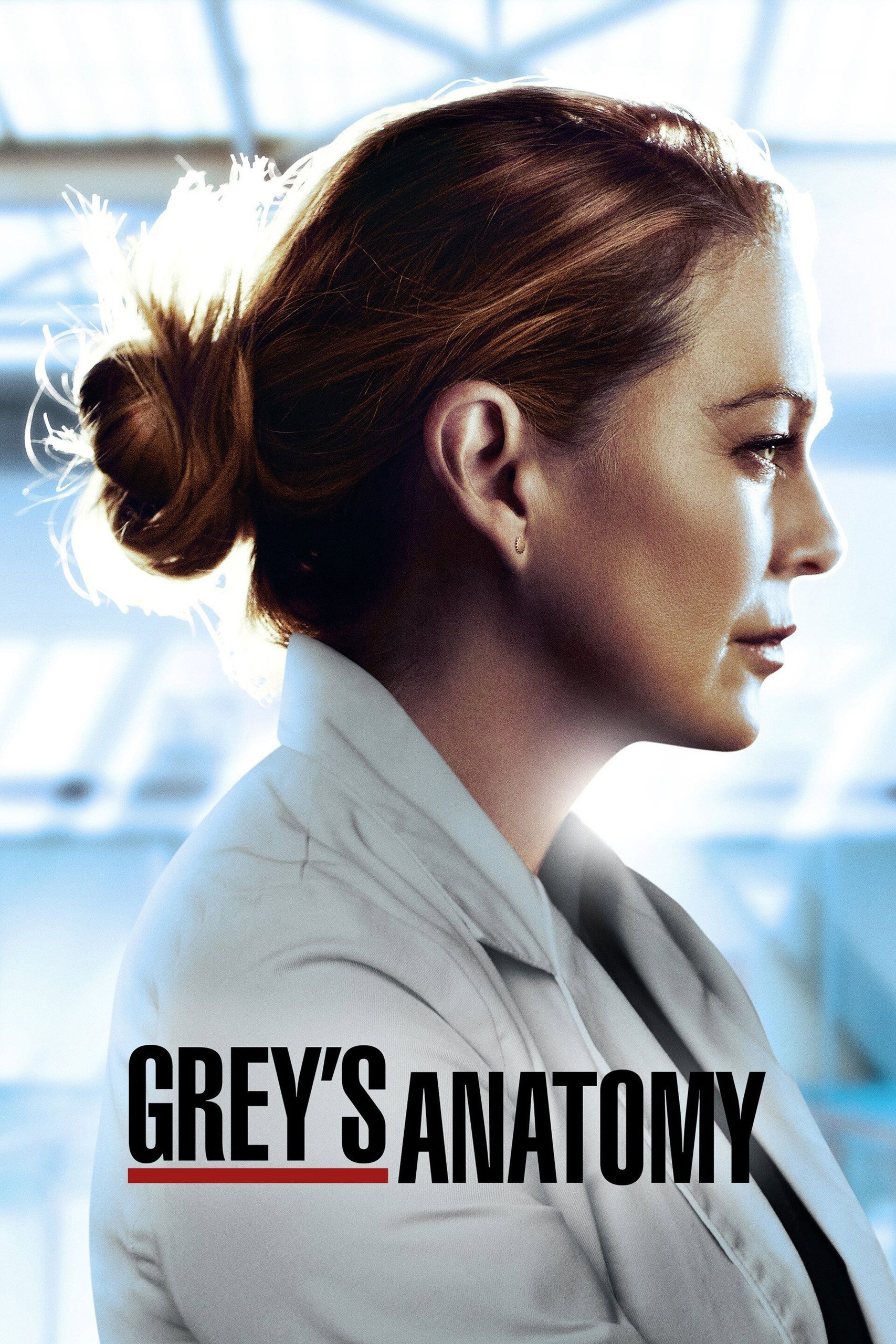 Grey's Anatomy poster 2