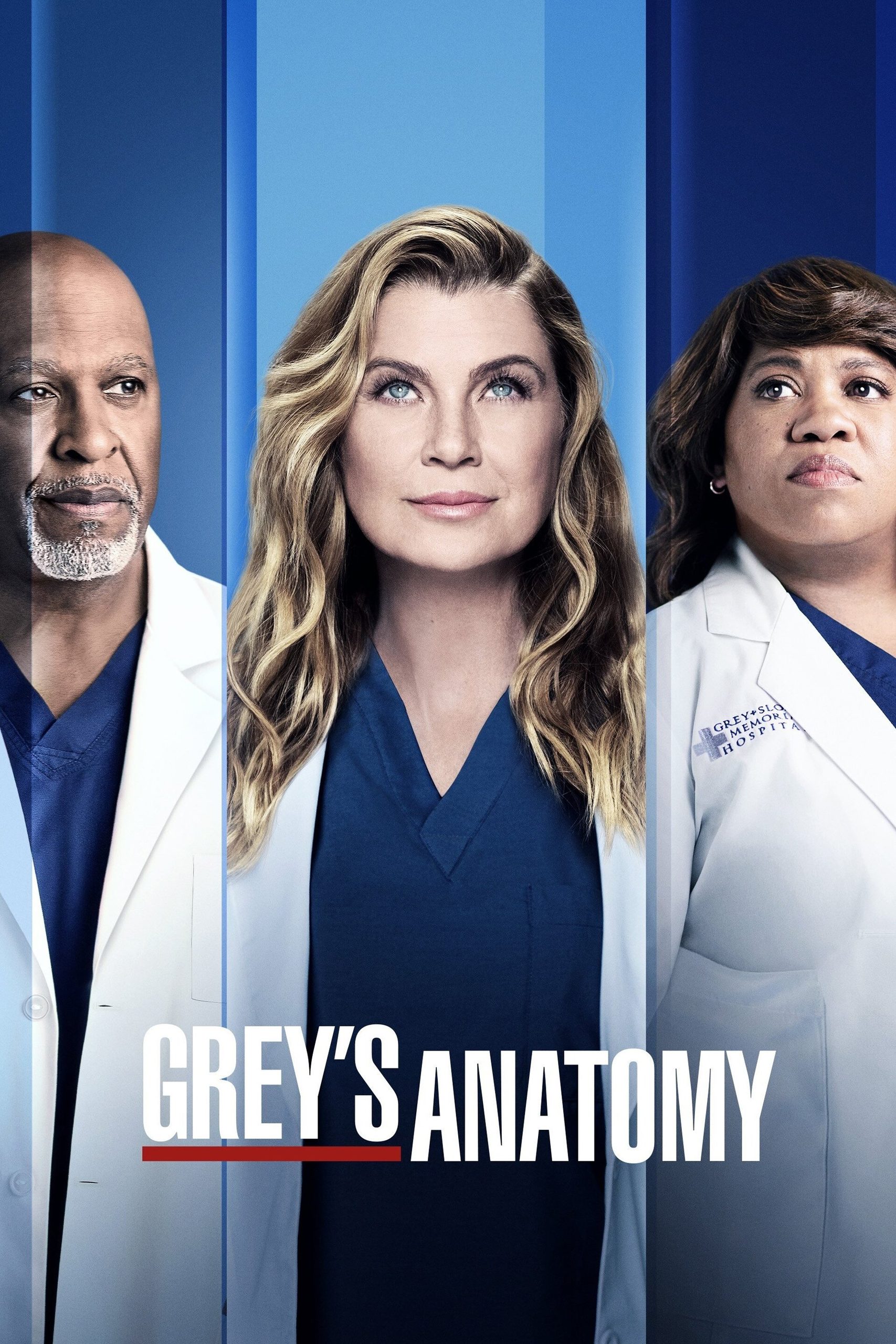 Grey's Anatomy poster 6