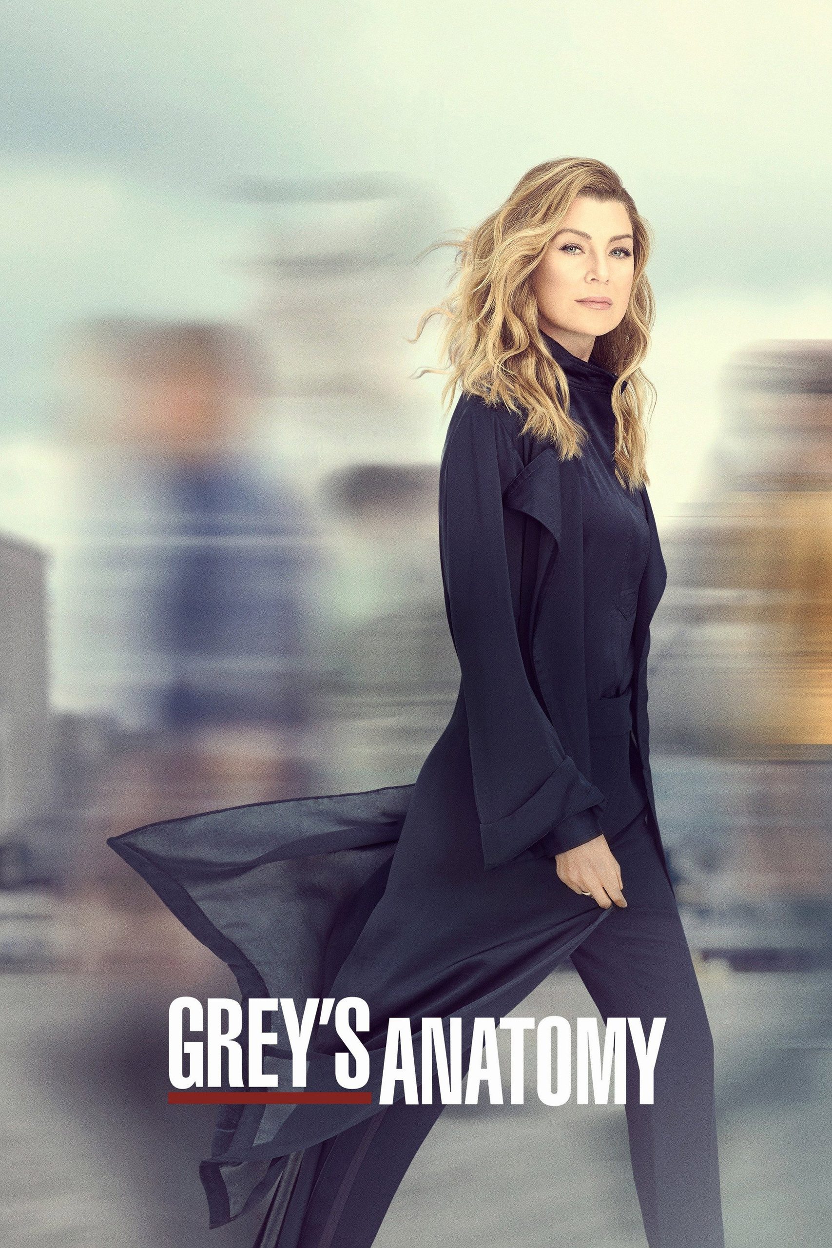 Grey's Anatomy poster 5