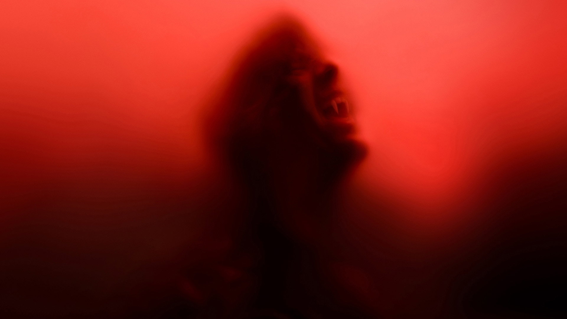 True Blood, still 6
