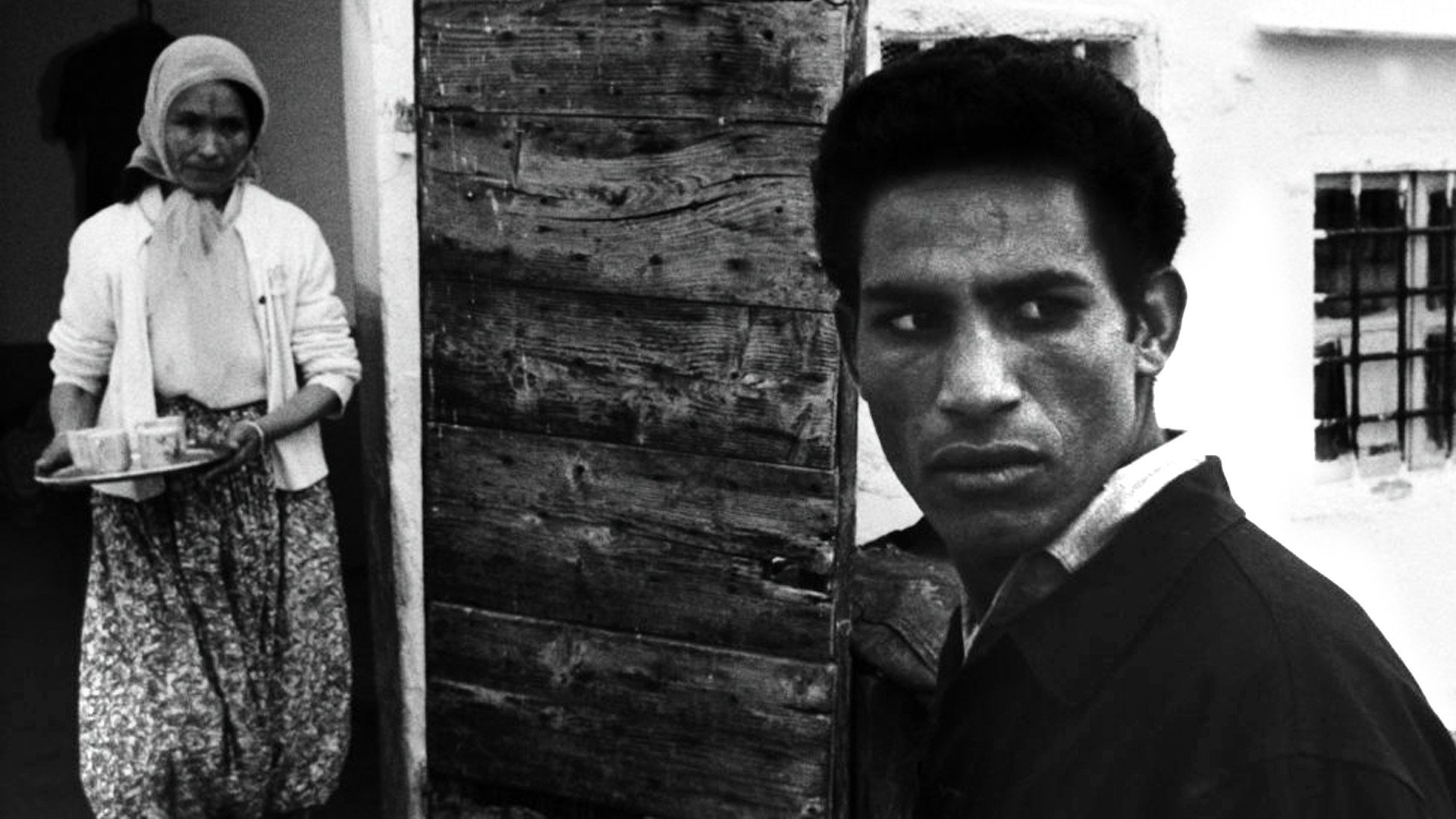 The Battle of Algiers, still 3