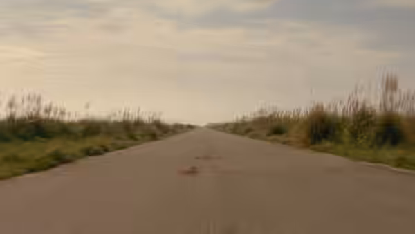 An empty paved road stretching into the distance between grassy fields