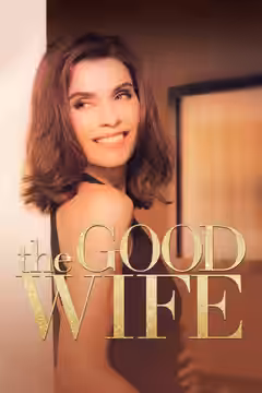 The Good Wife poster 4