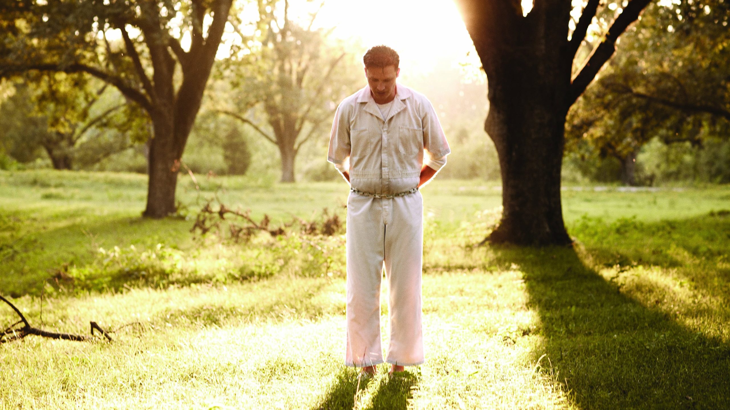 Rectify, still 1