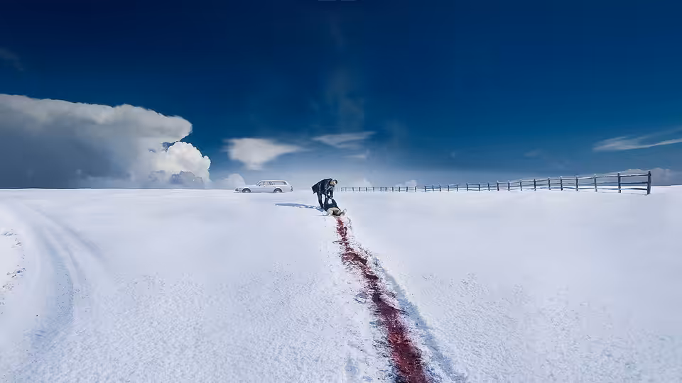 a figure crawling across snow leaving a long trail of blood