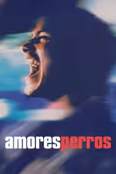 Amores Perros poster 3