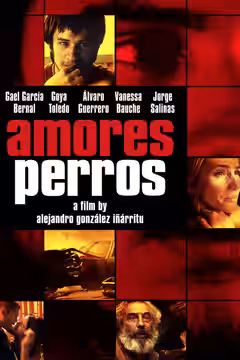 Amores Perros poster 4