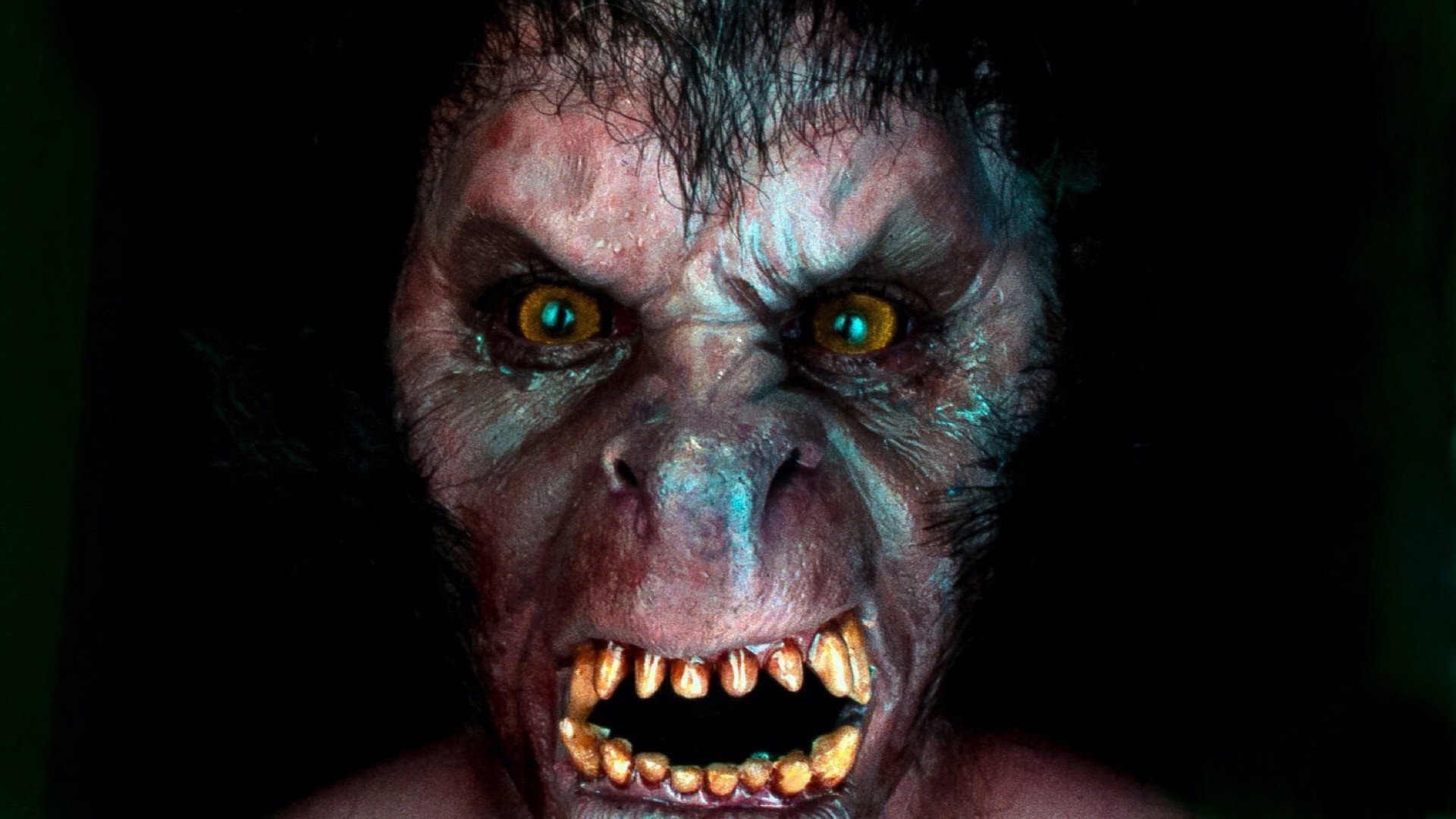 An American Werewolf in London, still 3