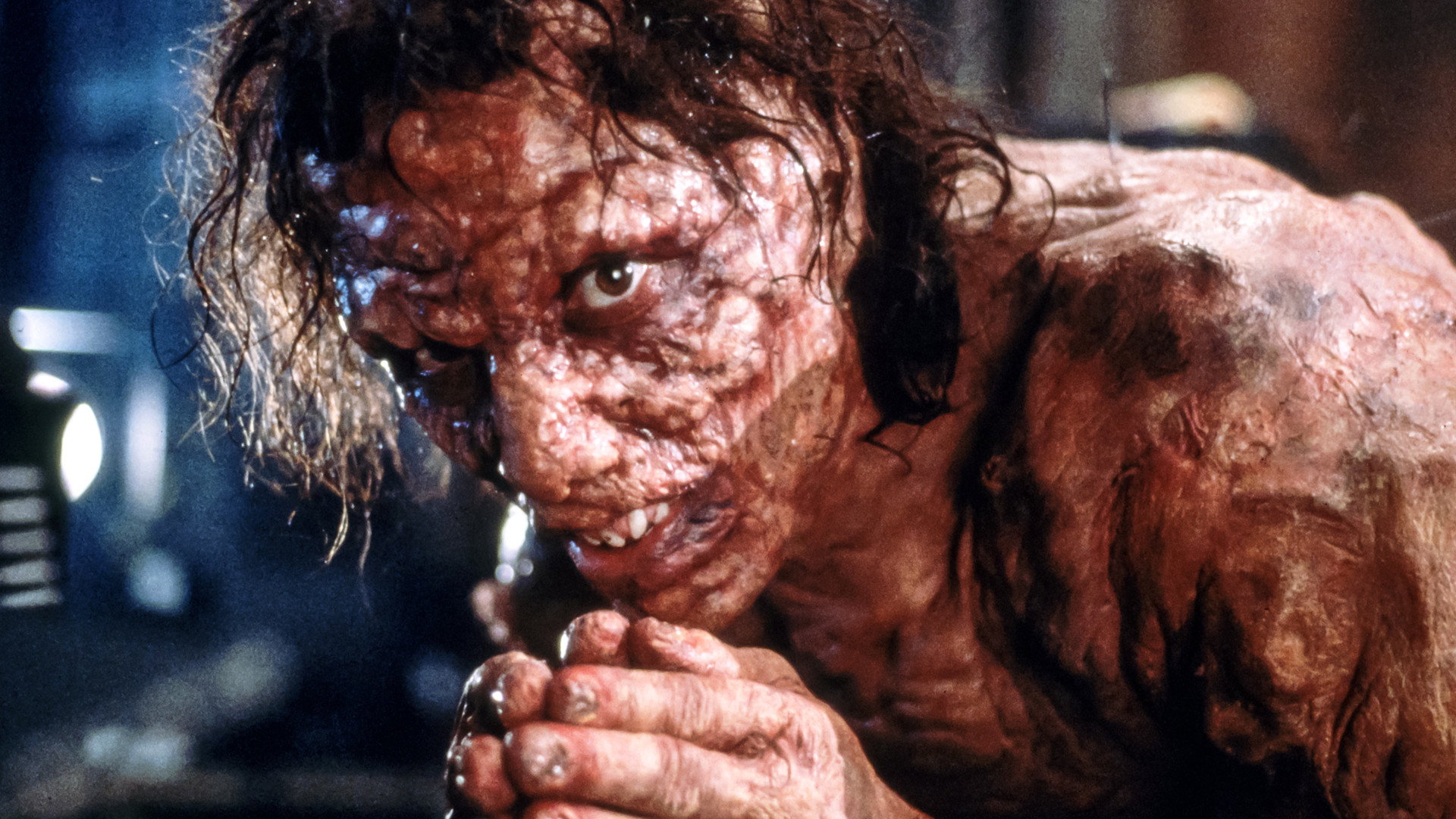 The Fly, still 4