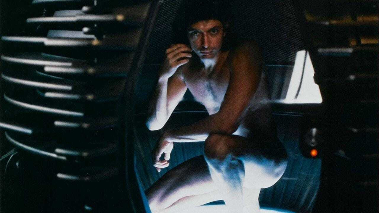 The Fly, still 1