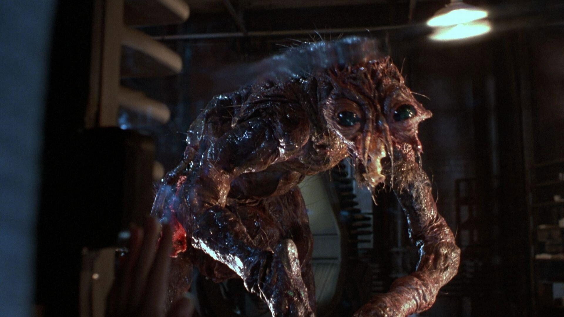 The Fly, still 3