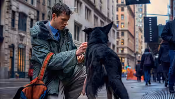 Samuel (Harris Dickinson) kneeling to pet a dog on a city street