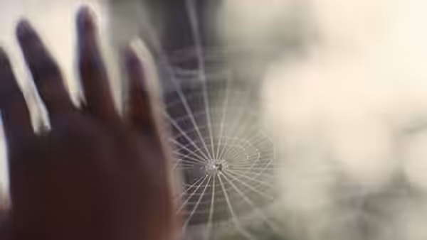 A hand reaching towards a spider web on a window