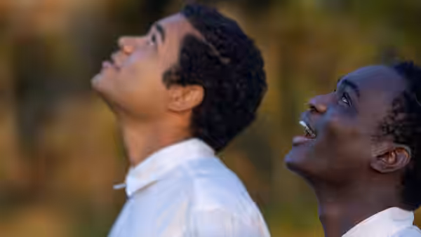 Two young men in white shirts gazing upwards outdoors