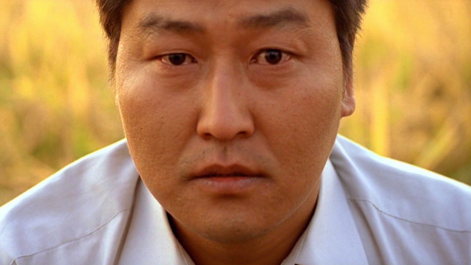 Memories of Murder, still 6